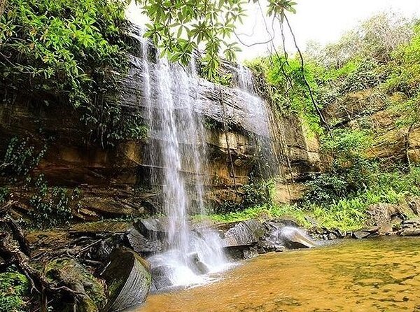 Shimba Hills National Reserve